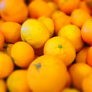 The Owari Satsumas have arrived!