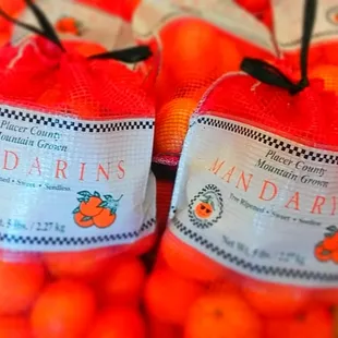 The Owari Satsumas have arrived!