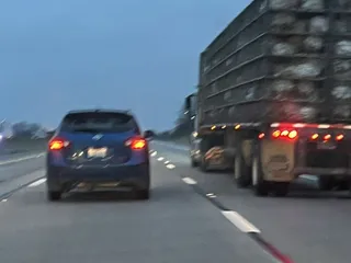 Kopp Turkey