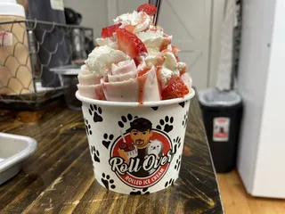 Roll Over Rolled Ice Cream