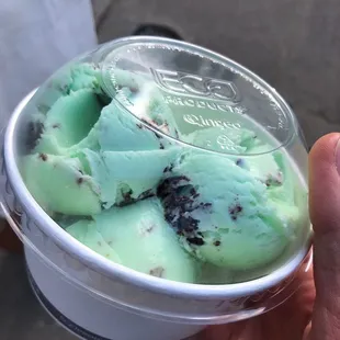 a hand holding a cup of ice cream