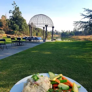 Pistachio calamari amidst a green garden Lake setting.