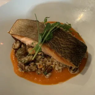 Salmon with farro risotto