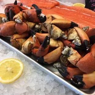 Gulf Stone Crab Claws