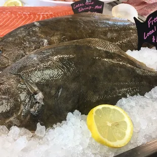 Fresh local Gulf Flounder