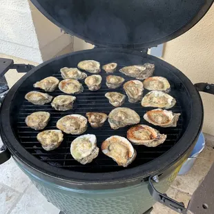 Oysters on Big Green Egg...