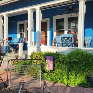 Tanzania is the kitty cat  name.