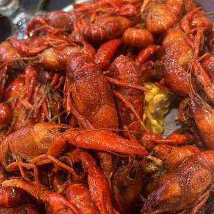 Crawfish!