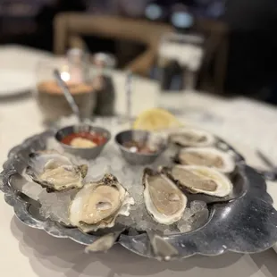 Oysters