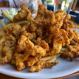 Fried Georges Bank Surf Clams