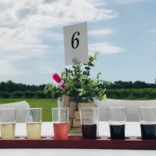 4 delicious Tasting Flights to choose from (6 wines per flight).