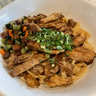 Cantonese Duck with noodles