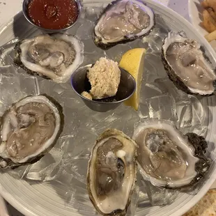 Oysters