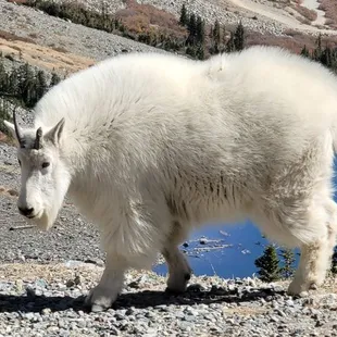 Look at my shiny new winter coat! All ready for the snow.