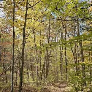 Licking River trail.