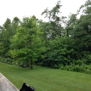 The view from my room.