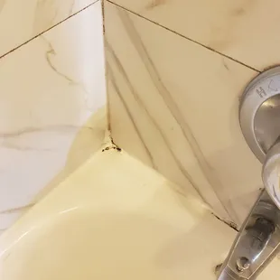 Mold in shower