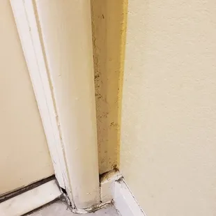 Black mold all over the room