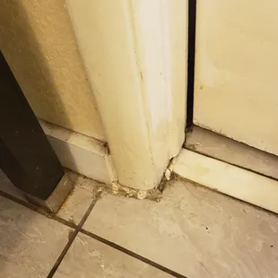 More mold and grossness