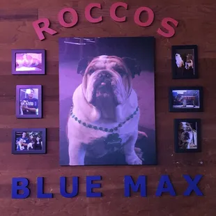 Mr. Rocco himself!!  &quot;The Boss&quot;. R.I.P.