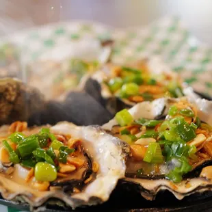 Yummy Grilled Oyster