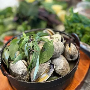 steamed clams with basil