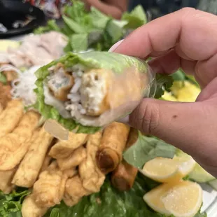 Spring Roll