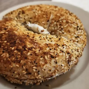 Everything bagel with Cream Cheese