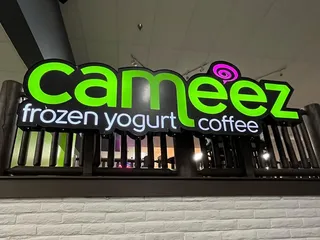 Cameez Frozen Yogurt