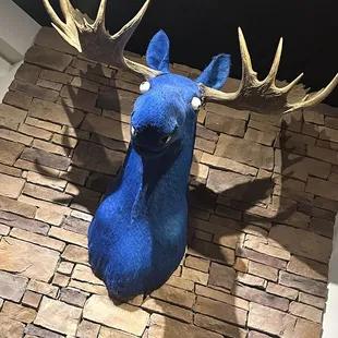 Blue moose head