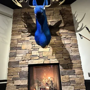 Blue moose head