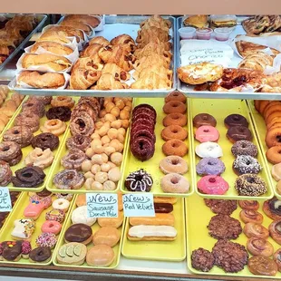Donut Display Case