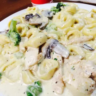 Tortellini with chicken, broccoli, and mushrooms.