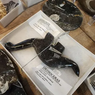 Dinosaur carved out of real fossils.