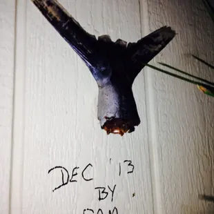 Uncle hams 33 lb .... Bluefin spearfish