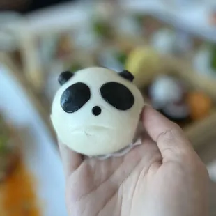 Panda Buns