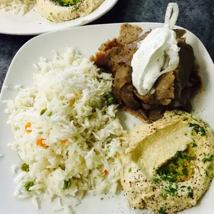 Gyro Plate