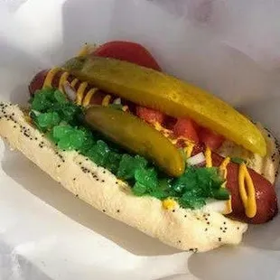 Classic Chicago Style Hot Dog
