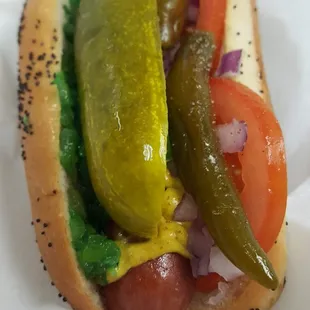 Chicago Dog