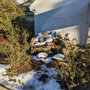 This is a water feature to the left of the restaurant entrance.  Photo taken January 26, 2022.