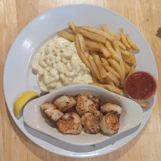 Sea Scallops