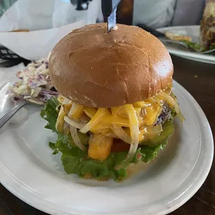 Wild Beast Burger