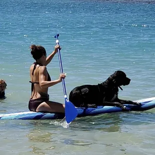 I went out on a borrowed board to see if my pup would even like it. He loved it.