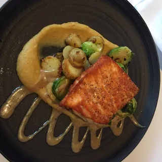 Gulf of Maine Salmon