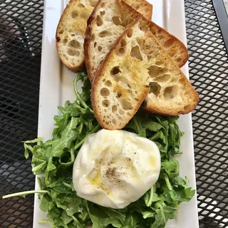 Fresh Burrata