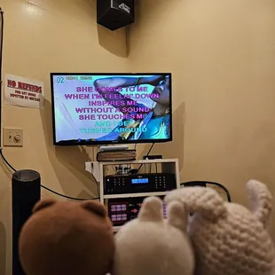 Let&apos;s sing together! No need microphone!