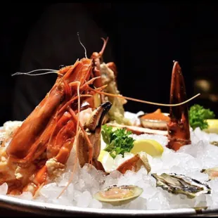 oysters and mussels, food
