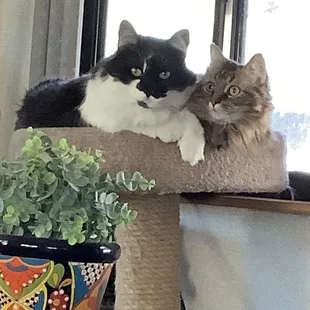 TerraBella and Skye K.