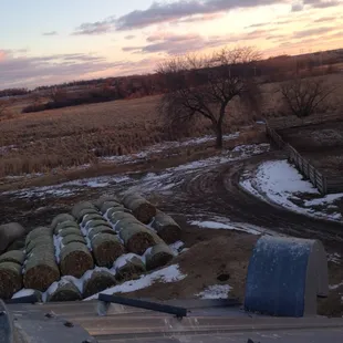 hay bales in a field