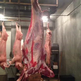 a bunch of meat hanging from a line